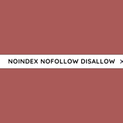 Noindex, nofollow en disallow
